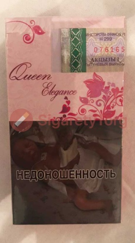 Queen Elegance SS фото 4