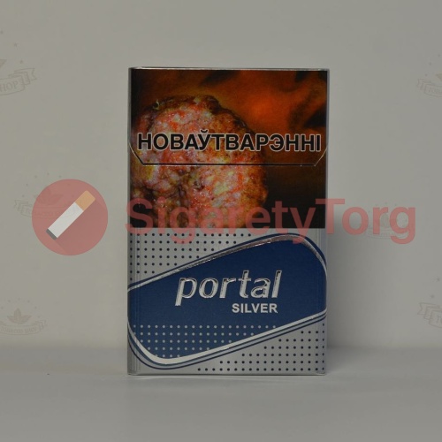 Portal Silver фото 3