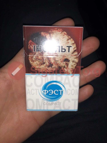 Fest Compact 7 фото 3