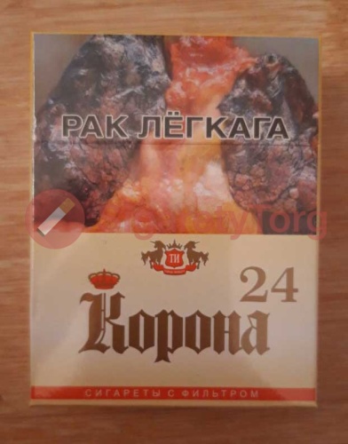 Корона 24 фото 3