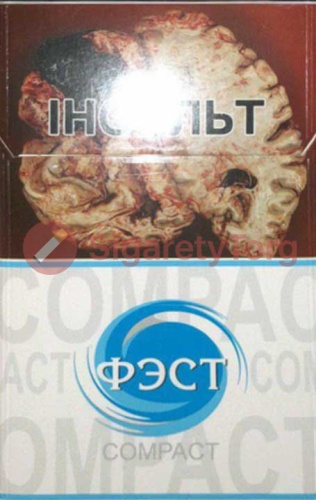 Fest Compact 7